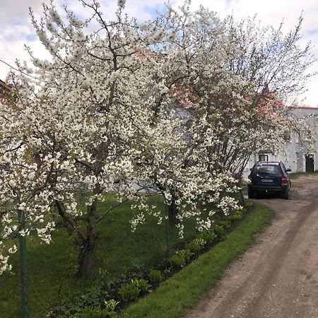 Ferienwohnung Kamienica Partyzantow Pasłęk Exterior foto