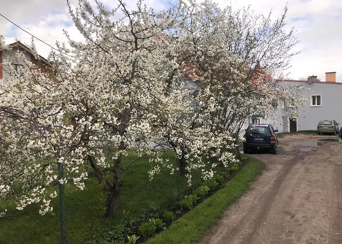 Kamienica Partyzantow